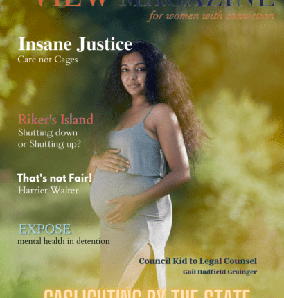 The View Spring 2022 Insane Justice - Digital Edition