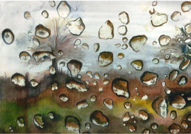 Raindrops